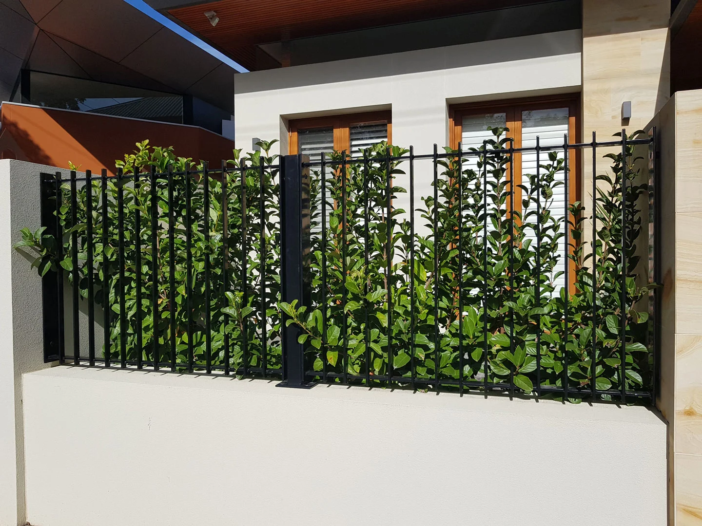 Decorative black steel fence on a rendered wall
